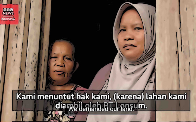 OLIO DI PALMA INDONESIA IL VIDEO