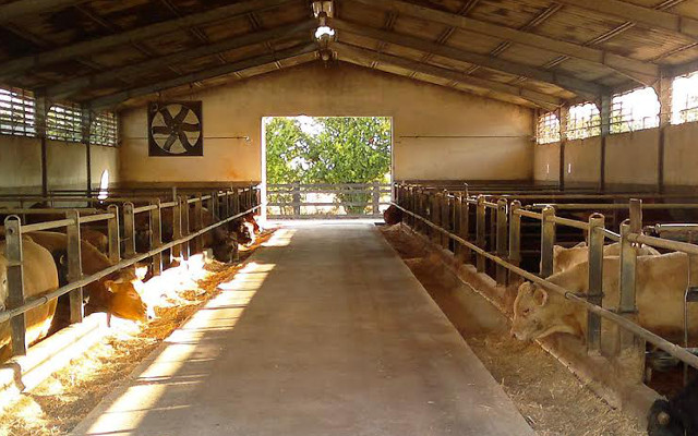 Italian Animal Husbandry 4.0, the integrated farm animal health database project