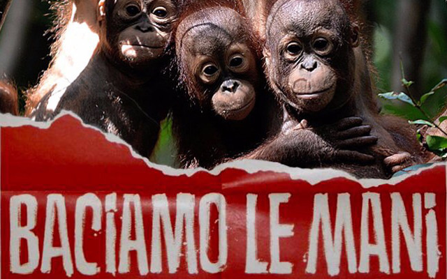 Palma sostenibile? Baciamo le mani. Un altro membro del governo italiano alla corte di RSPO
