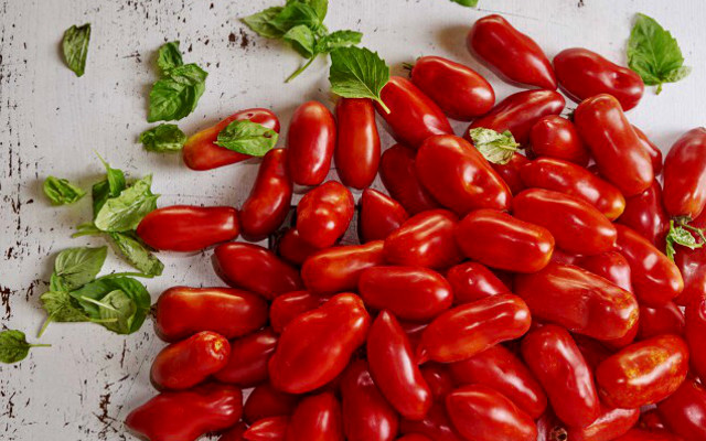 Tomato origin, is decree