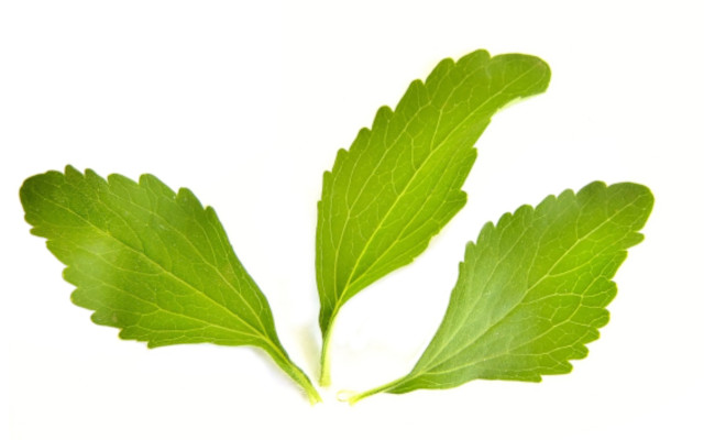 foglie di stevia