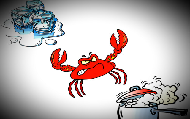Crostacei vivi, ghiaccio no fuoco sì