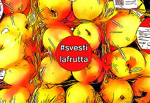 #svestilafrutta