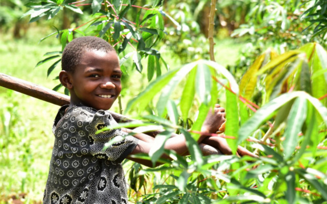 Pesticides and children, Unicef report