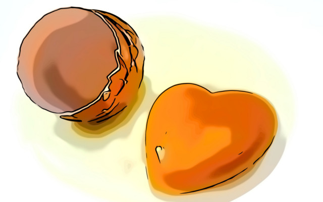 One egg a day