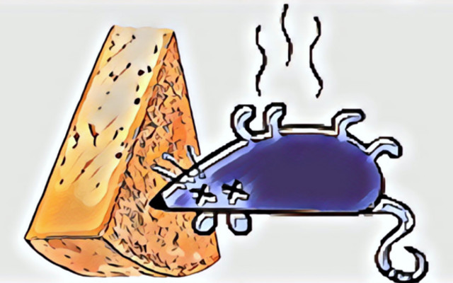 Fontina Carrefour with E.Coli and Shiga toxins