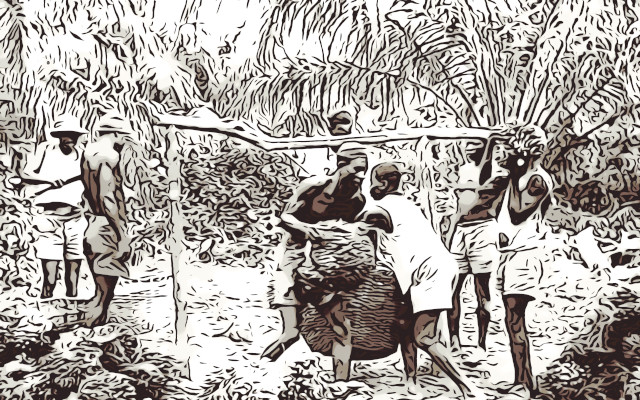 Congo, olio di palma e colonialismo