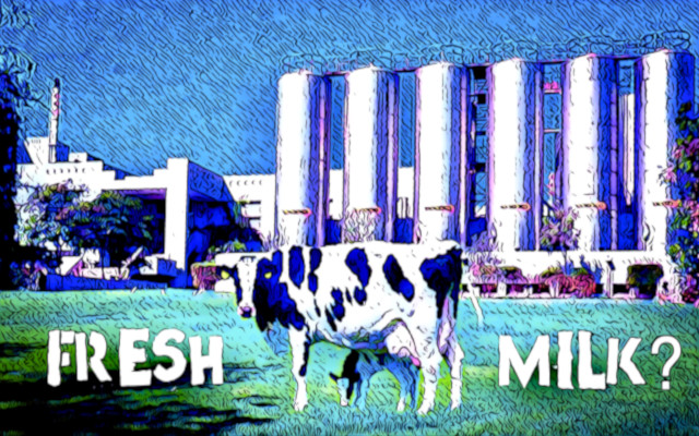 Galatine, the fairy tale of fresh milk