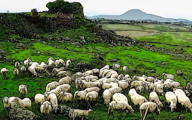There is milk and milk, the reasons of farmers in Sardinia