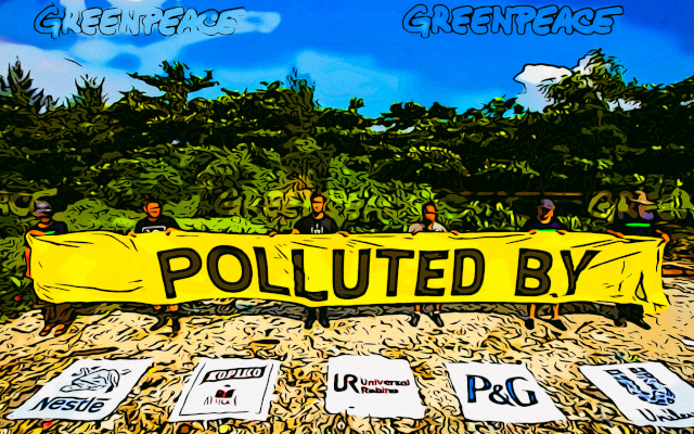 Alternative alla plastica? La denuncia di Greenpeace