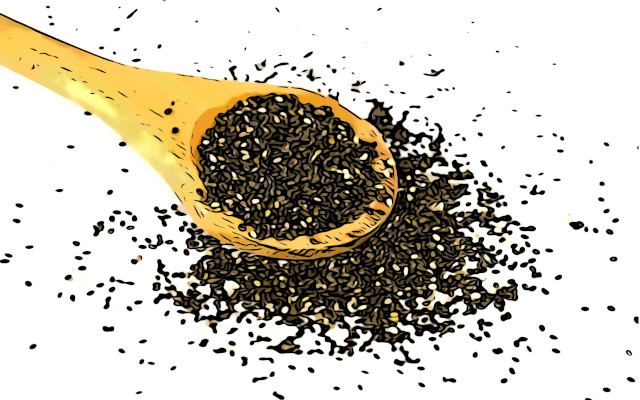 Superfood, semi di chia. Via libera dall’UE senza livelli massimi di assunzione