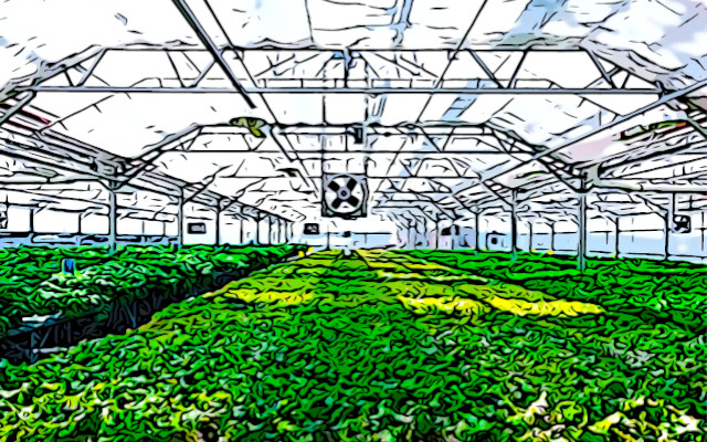 Microrganismi e microalghe in agricoltura, l’innovazione sostenibile