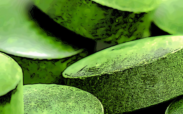 Microalgae to counter Covid-19, promising studies