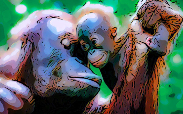 Good resolutions. Living without palm oil, instructions for use