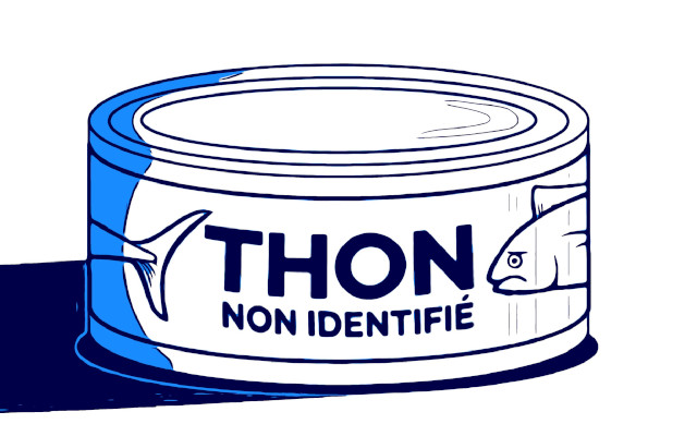Traceability of canned tuna. IUUWatch’s pressure on the European Commission.