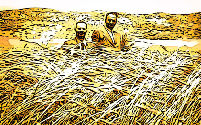 Ancient grains, an innovative method of analysis to verify identity and origin