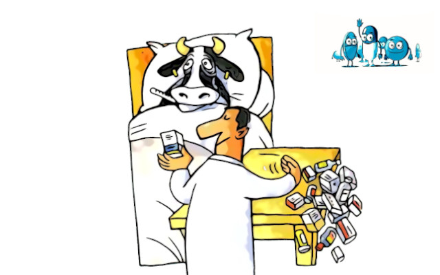 allevamenti antibiotici