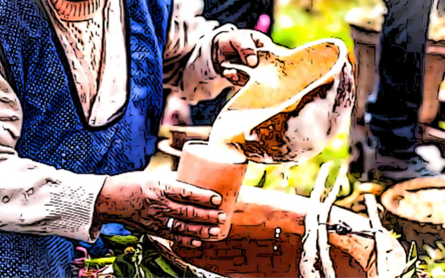 A treasure trove of probiotics in Peru’s traditional fermented drinks