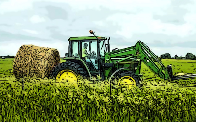 Italian alfalfa for virtuous forages