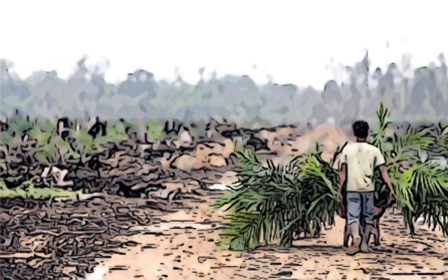 Land robbery, palm oil tops the list. Risks due diligence, ESG