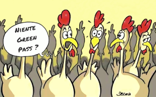 Avian flu, infection grows on farms