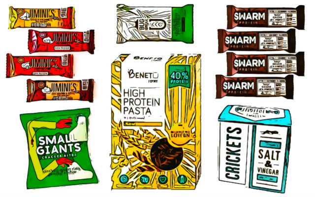 insetti novel food