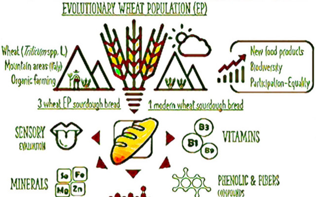 Biodiversity in agriculture, varietal mixtures of wheat and high quality organic bread. Ecosystems, health and taste