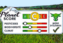 etichettatura ambientale alimenti