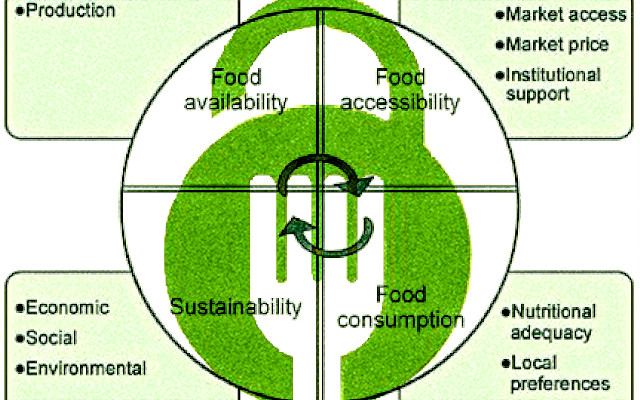 rapporto FAO 2022