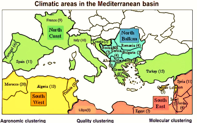 Performance, native wheat quality, and Mediterranean climates