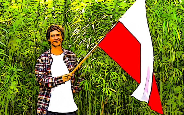 Cannabis sativa L