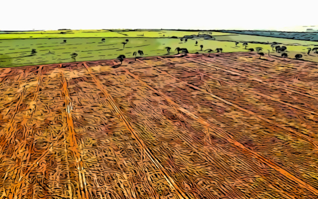 Brazilian agribusiness. Ecocide and genocide of indigenous people