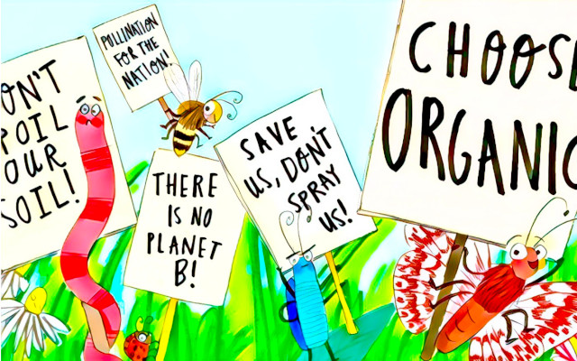 Pesticide residues in organic products, accidental contamination under control