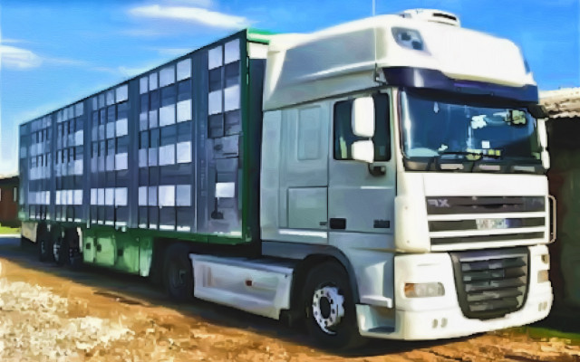 EFSA opinion on the transmission of antimicrobial resistance in animal transport
