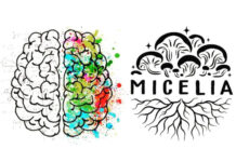 Food Times_mycoproteins-salute-e-gusto.-Gli-ingredienti-di-Quorn-per-lindustria