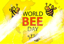 World Bee Day