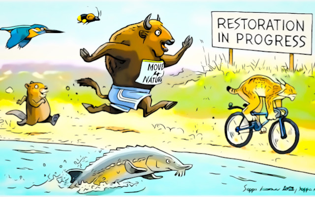 Nature Restoration Law