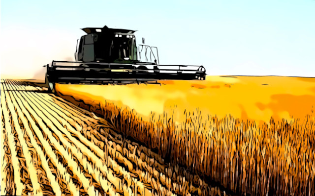 ministro agricoltura pro ogm contro grani antichi