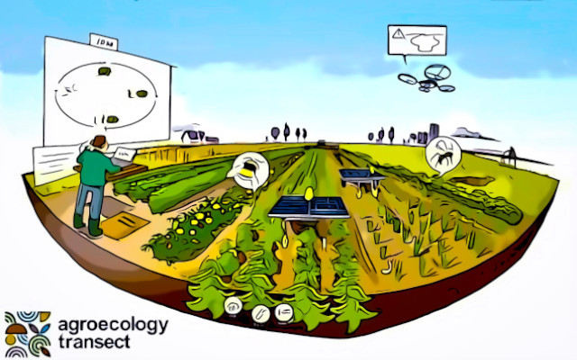 progetto di ricerca agroecologia