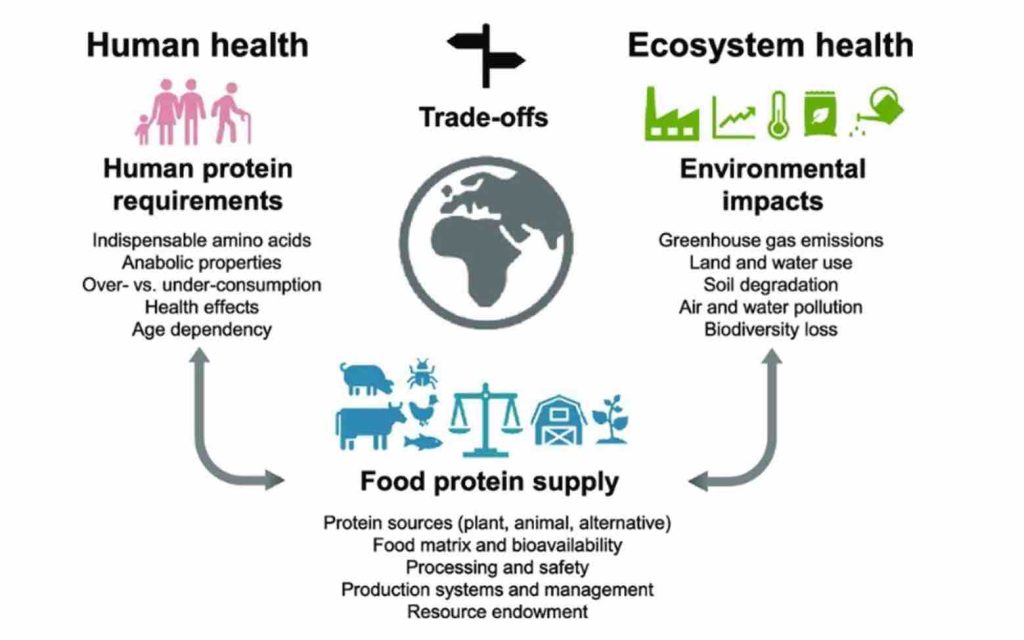 Sustainable food protein supply