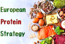 European Protein strategy