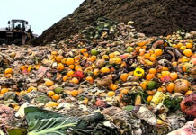 EU waste framework directive