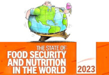 SOFI report 2023