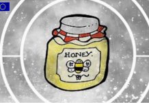 Breakfast directives, il Parlamento europeo alza le barriere contro il miele extra-UE