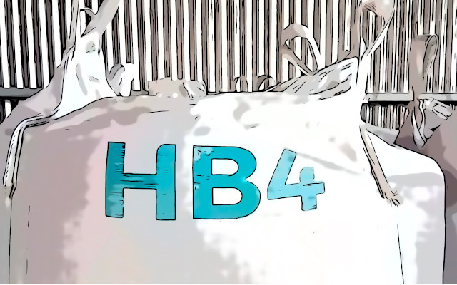 grano OGM HB4