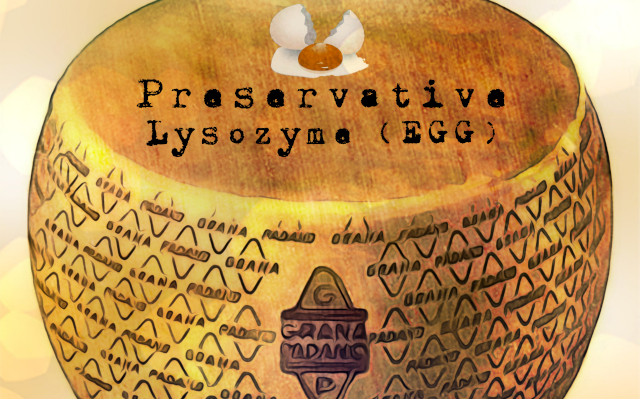 grana_padano__lysozyme