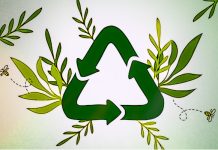 upcycling scarti alimentari