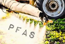 pesticidi PFAS