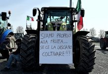 italian fruit sales below-cost