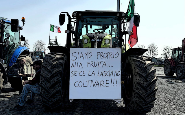 italian fruit sales below-cost